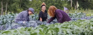 Drie personen vrolijk aan het werk op een Sociale Voedseltuin